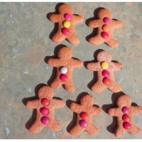 Mini Gingerbread Girls